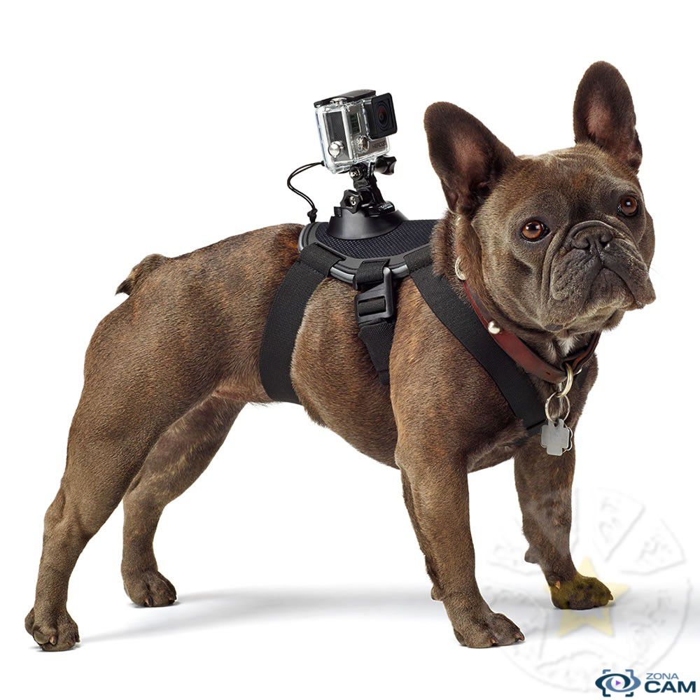 Arnes generico perro fetch dog para Gopro