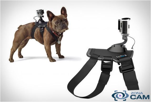 Gopro Arnes perro original Fetch dog