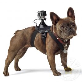 Gopro Arnes perro original Fetch dog