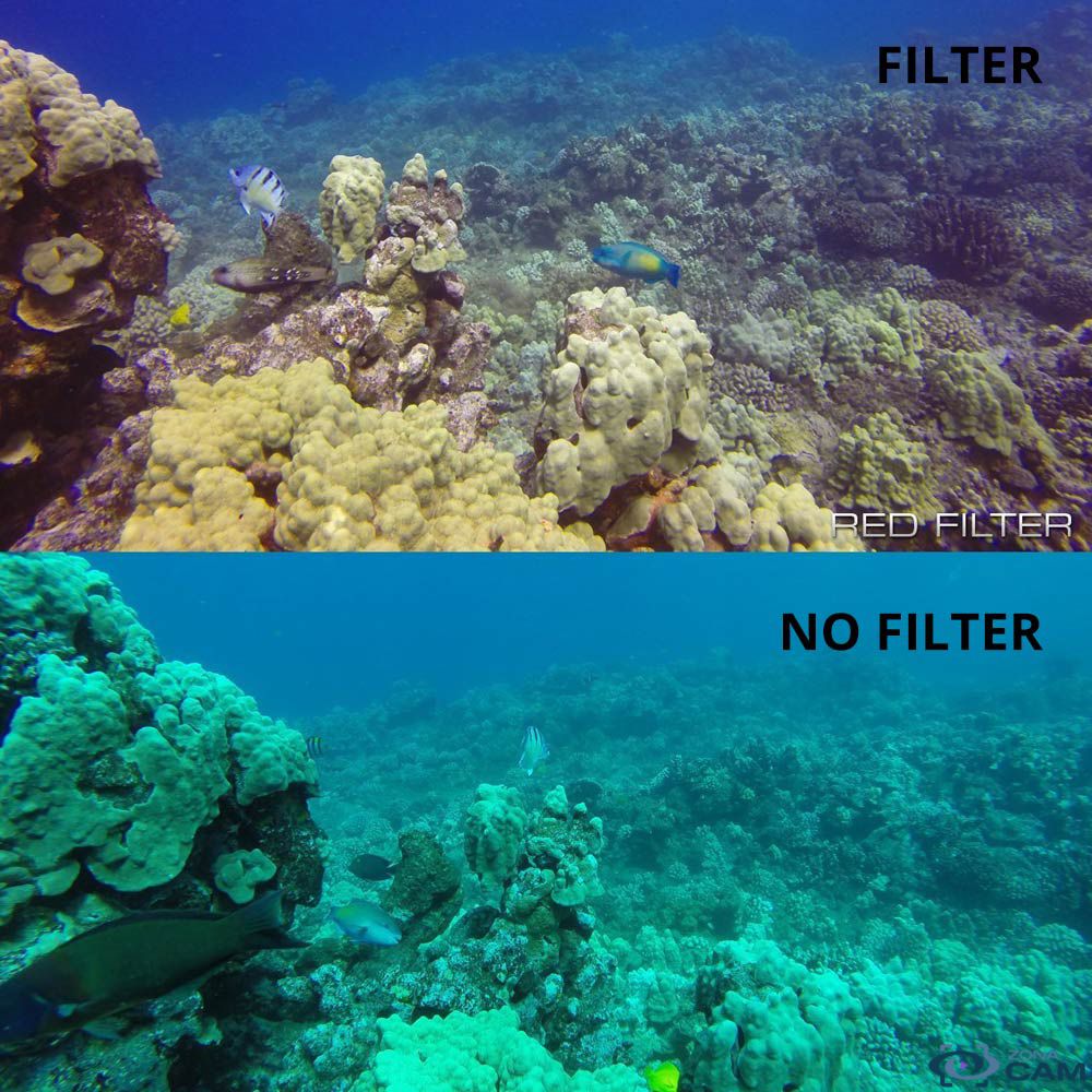 PolarPro filtro Snorkel GoPro Hero 4 5 Session
