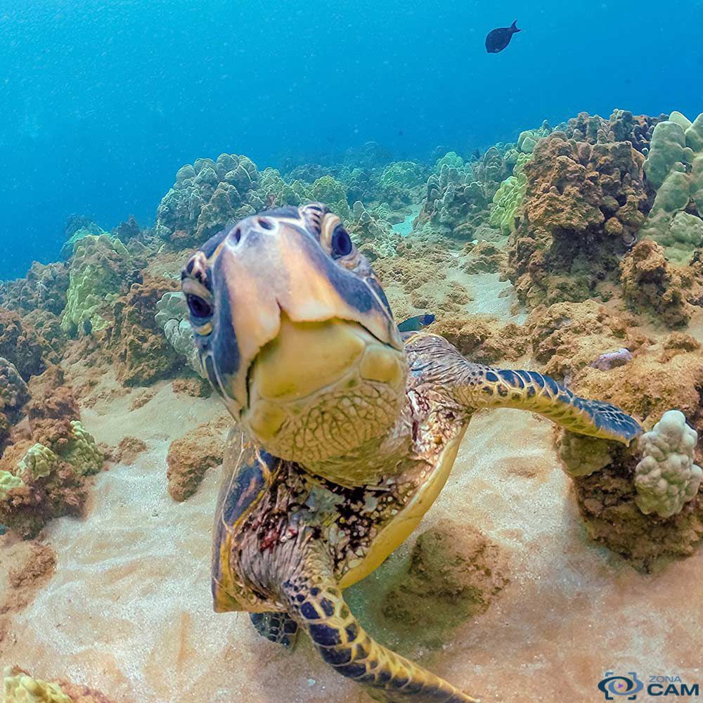 PolarPro filtro Snorkel GoPro Hero 4 5 Session